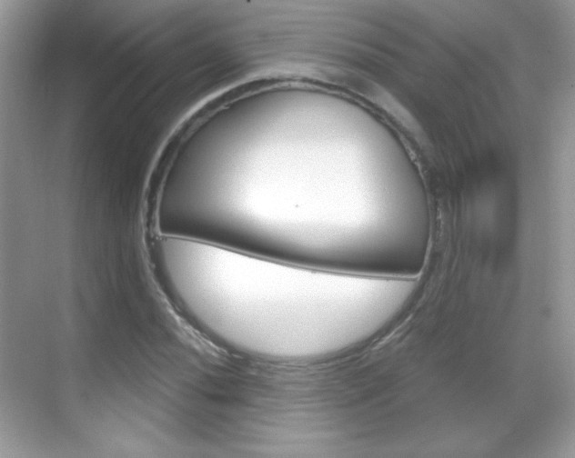 X0000068851020200605051012