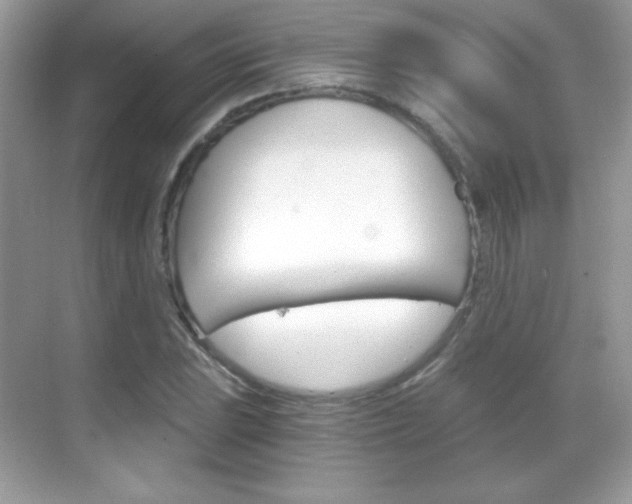 X0000068851023200605051012