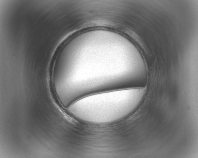 X0000068851024200605051012