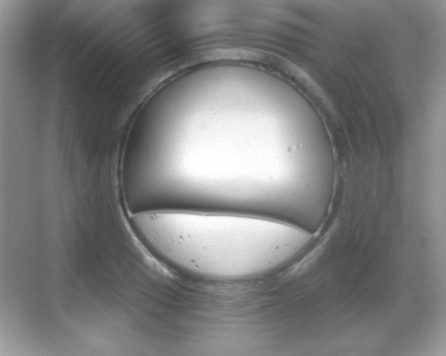X0000068851033200605051012