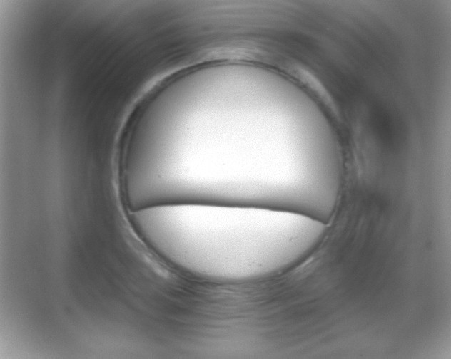 X0000068851035200605051012