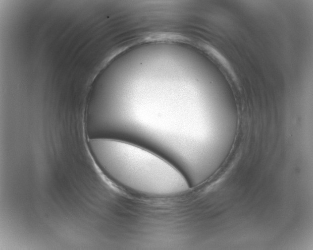 X0000068851041200605051012