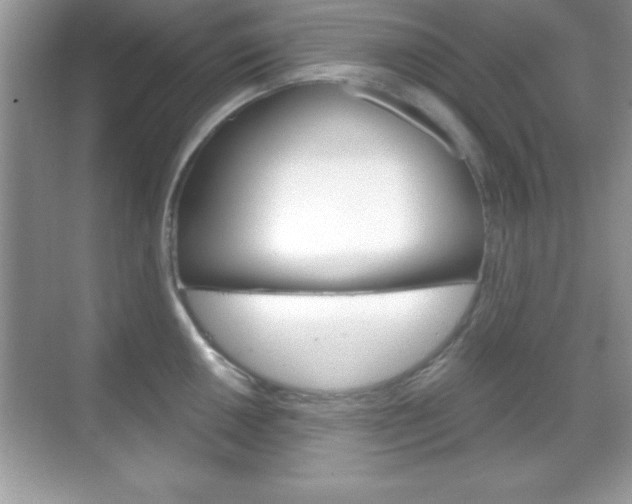 X0000068851050200605051013