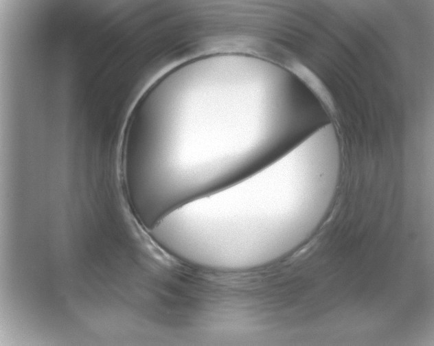X0000068851052200605051013