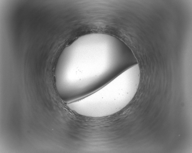 X0000068851057200605051012