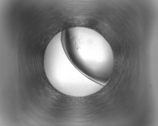 X0000068851058200605051012