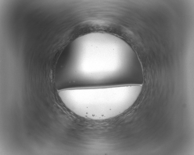 X0000068851061200605051012