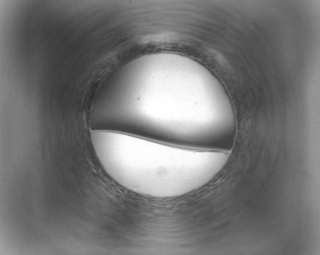 X0000068851062200605051012