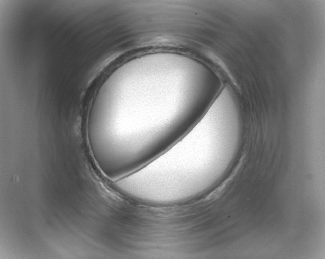 X0000068851066200605051012