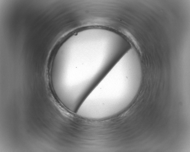 X0000068851072200605051012