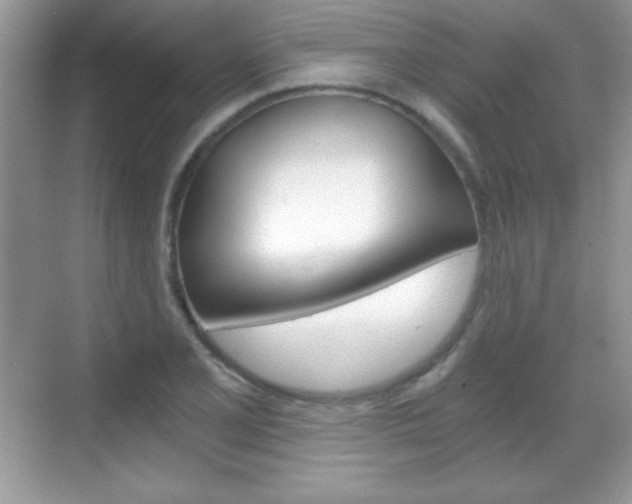 X0000068851077200605051012