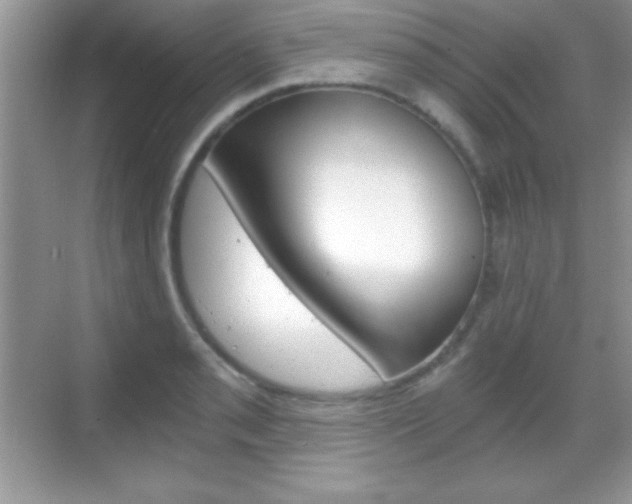 X0000068851085200605051011