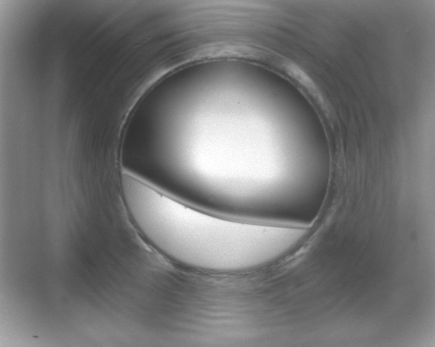 X0000068851089200605051011