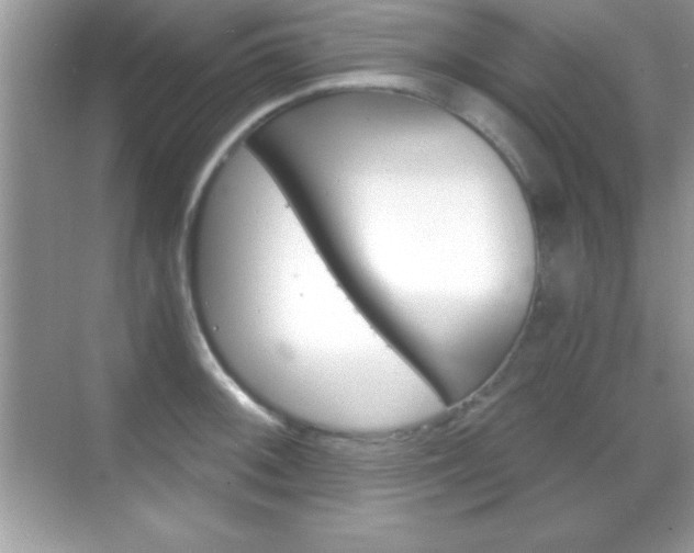 X0000068851092200605051011