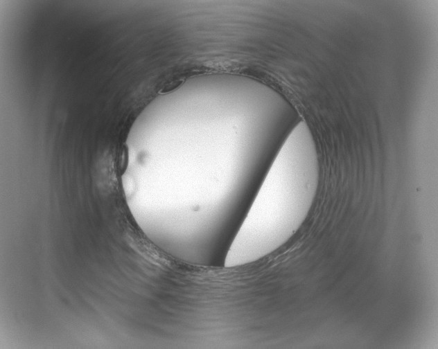 X0000068851106200605051010