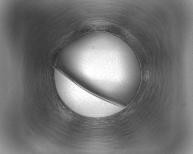 X0000068851108200605051010