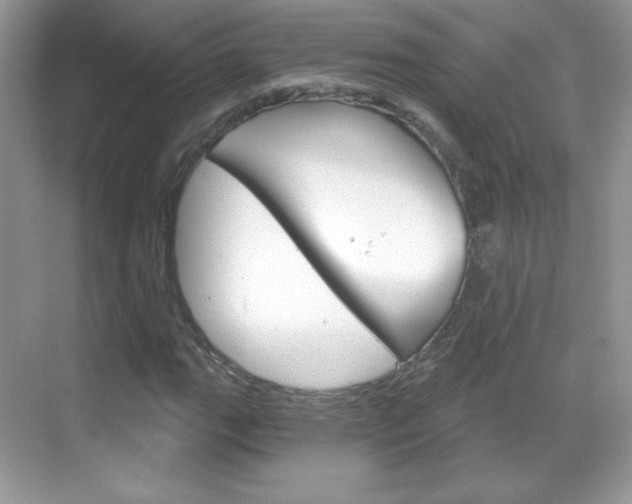 X0000068851111200605051010