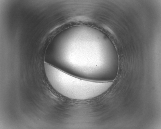X0000068851112200605051010
