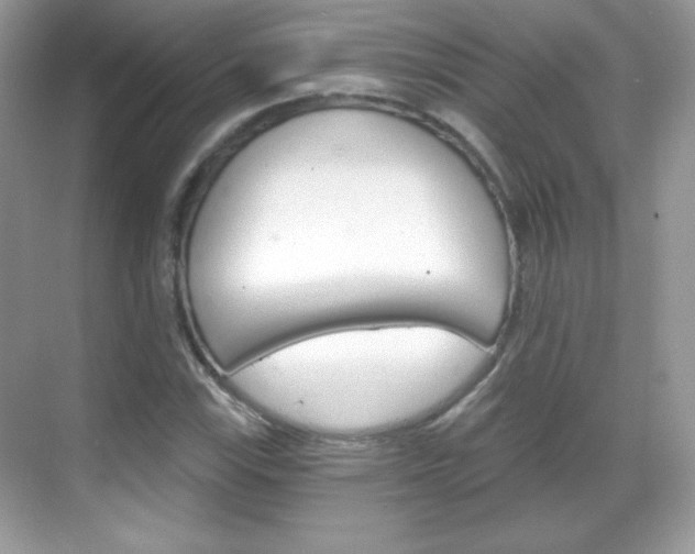 X0000068851115200605051010