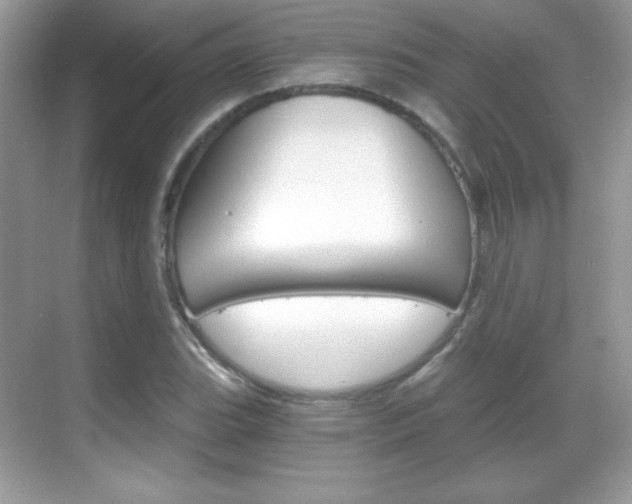 X0000068851119200605051011