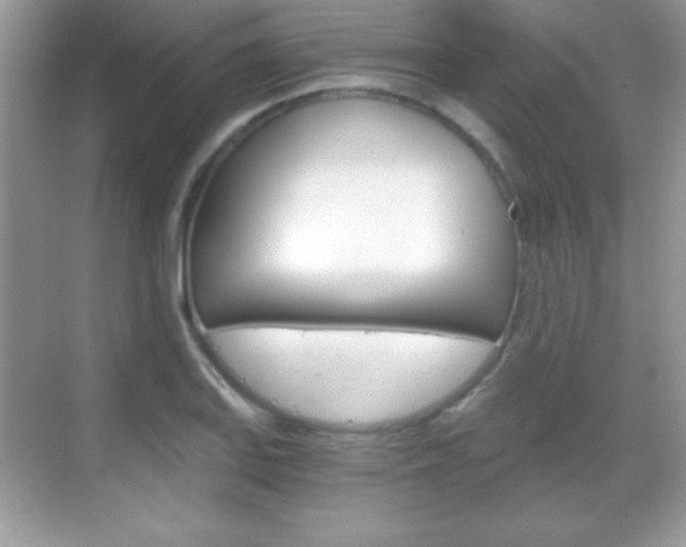 X0000068851127200605051011