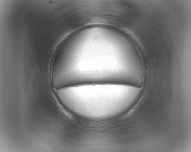 X0000068851129200605051011