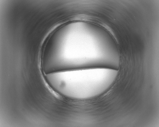 X0000068851131200605051011
