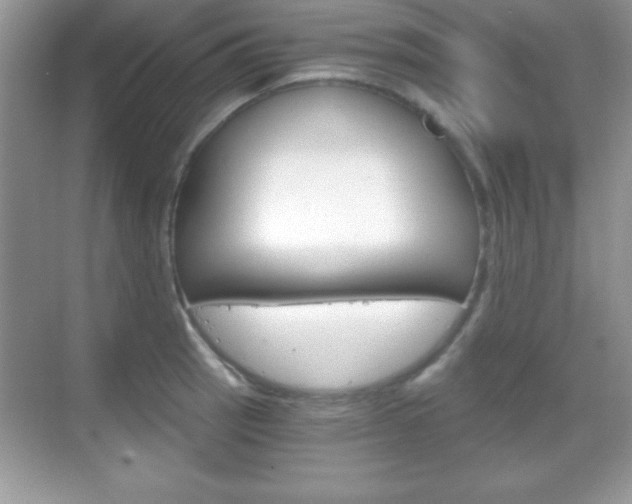 X0000068851137200605051011