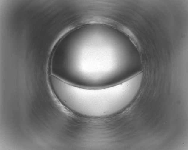 X0000068851138200605051011