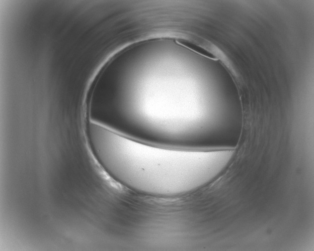 X0000068851140200605051011