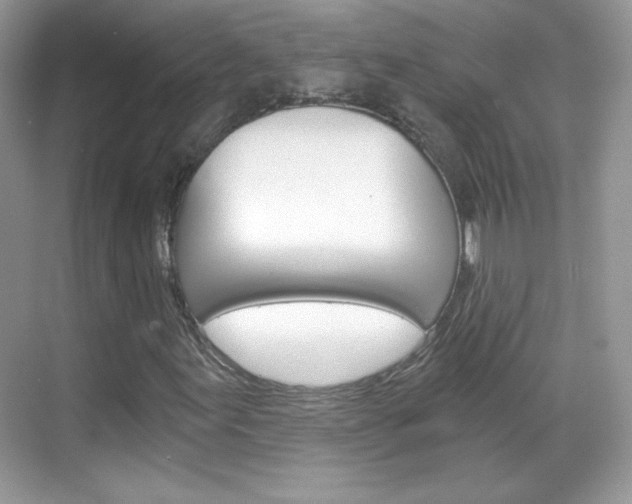 X0000068851155200605051010