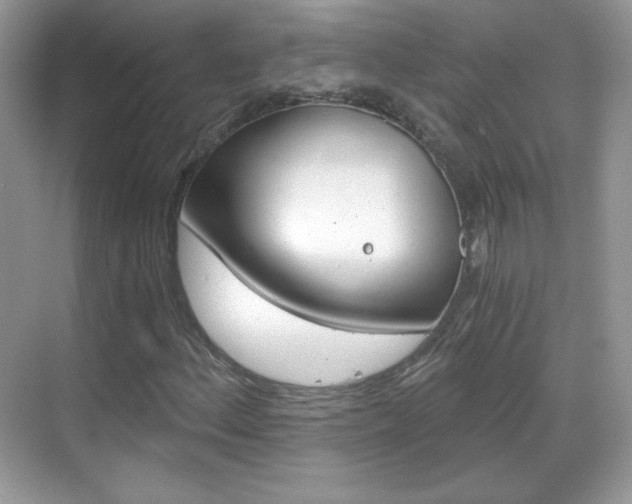 X0000068851156200605051010