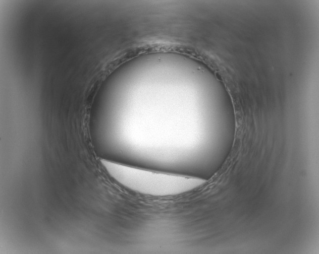 X0000068851157200605051010