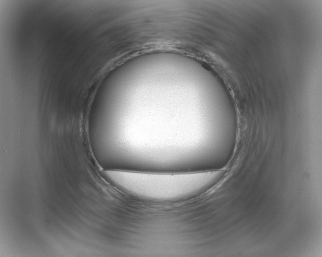 X0000068851161200605051010