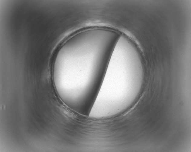 X0000068851167200605051010