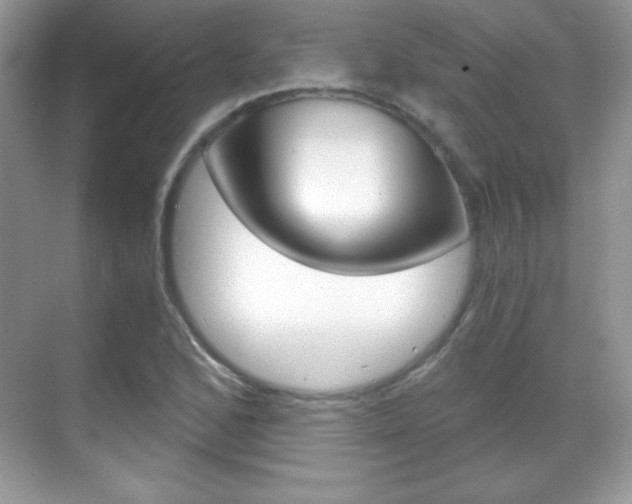 X0000068851168200605051010