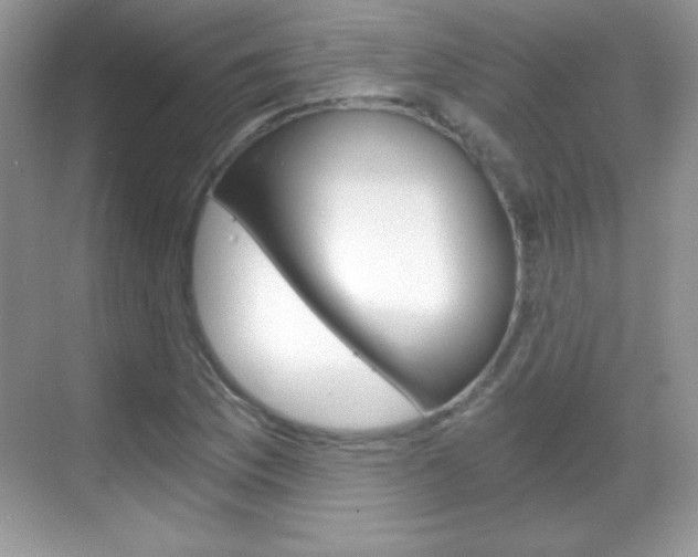 X0000068851169200605051010