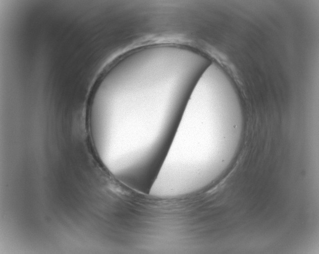 X0000068851174200605051010