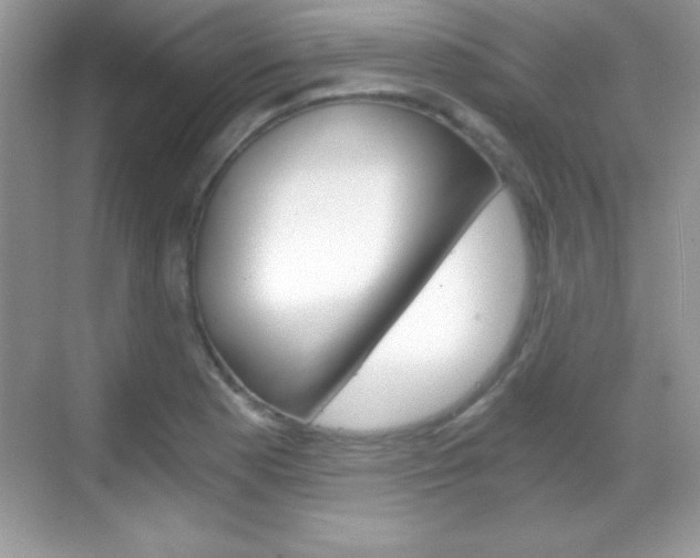 X0000068851177200605051010
