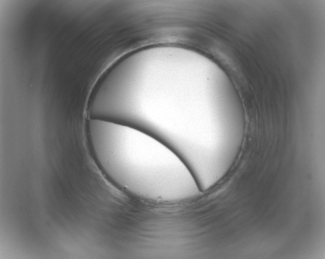 X0000068851178200605051010