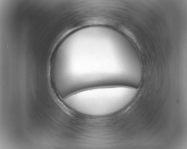 X0000068851179200605051010