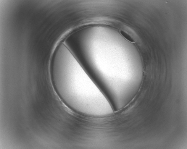X0000068851180200605051010