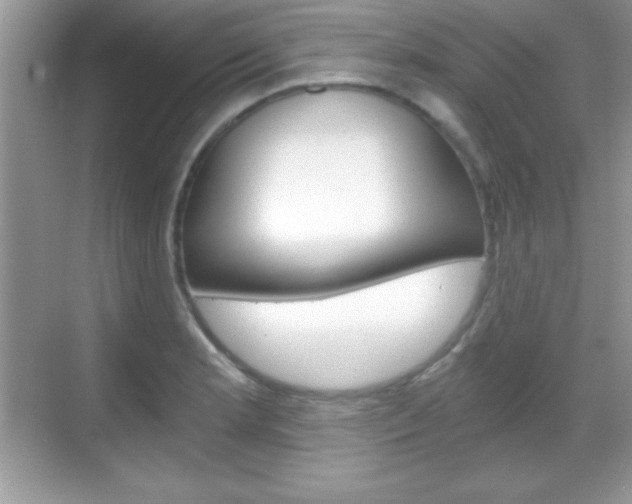 X0000068851181200605051010