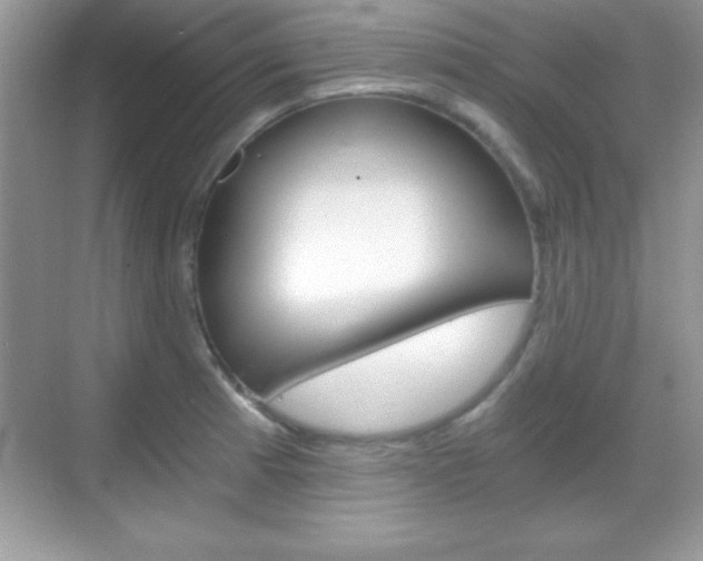 X0000068851185200605051010