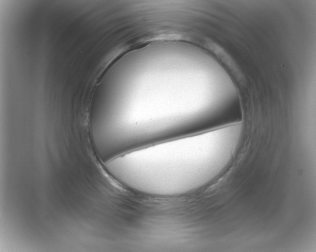 X0000068851193200605051010