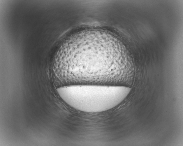 X0000068851205200605051009