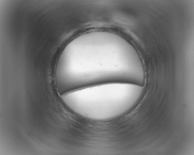 X0000068851213200605051009