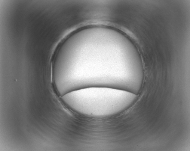 X0000068851223200605051009
