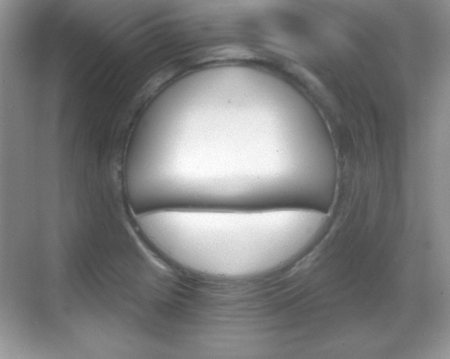 X0000068851225200605051009