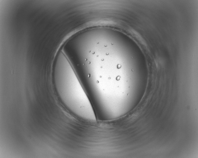 X0000068851226200605051009